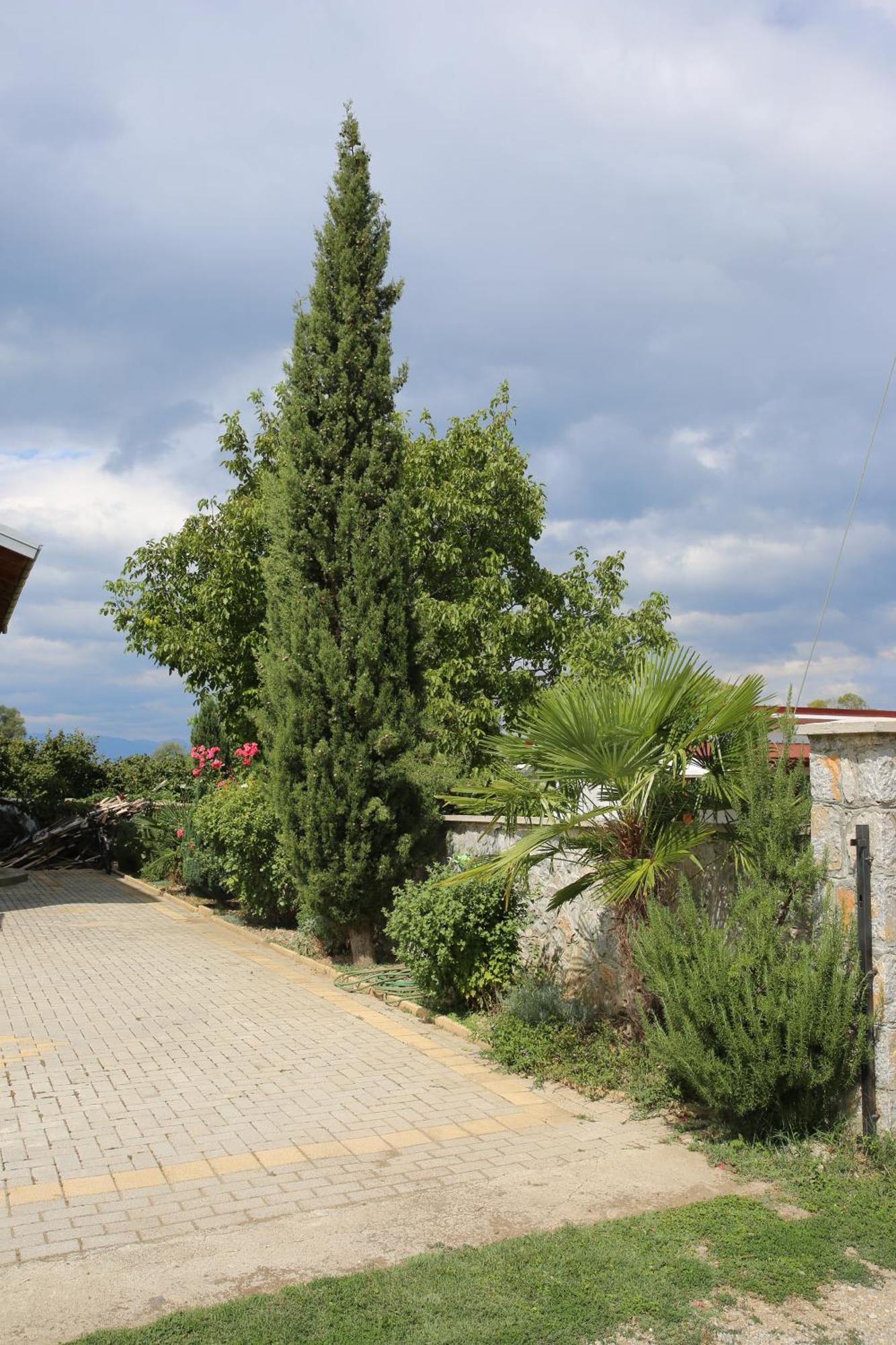 Villa Goriza Prestige Ohrid Eksteriør bilde